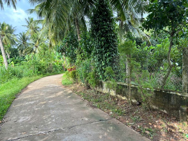 đất vườn hoài nhơn bình định giá rẻ